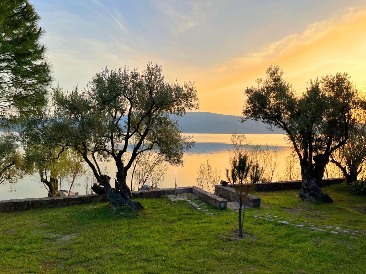 Traditional Architecture Seafront Stone House In 25000Sqm Olive Grove - C Villa Alyfanta Kültér fotó