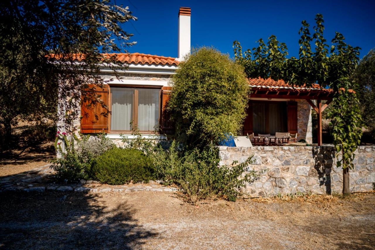 Traditional Architecture Seafront Stone House In 25000Sqm Olive Grove - C Villa Alyfanta Kültér fotó