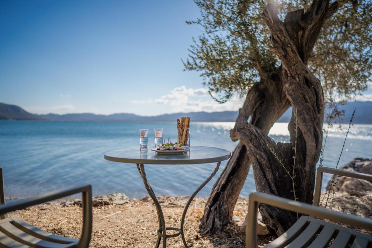 Traditional Architecture Seafront Stone House In 25000Sqm Olive Grove - C Villa Alyfanta Kültér fotó