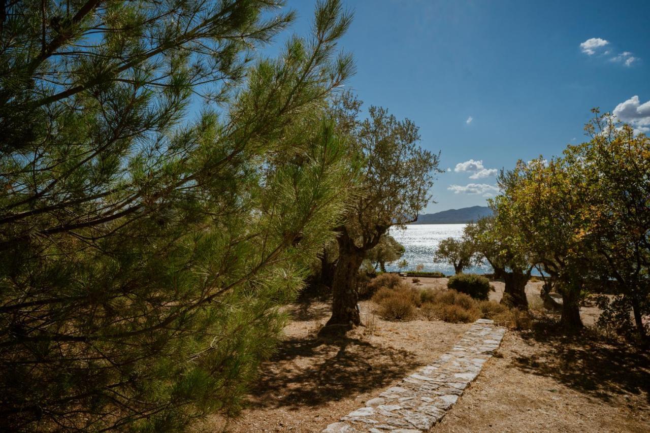 Traditional Architecture Seafront Stone House In 25000Sqm Olive Grove - C Villa Alyfanta Kültér fotó