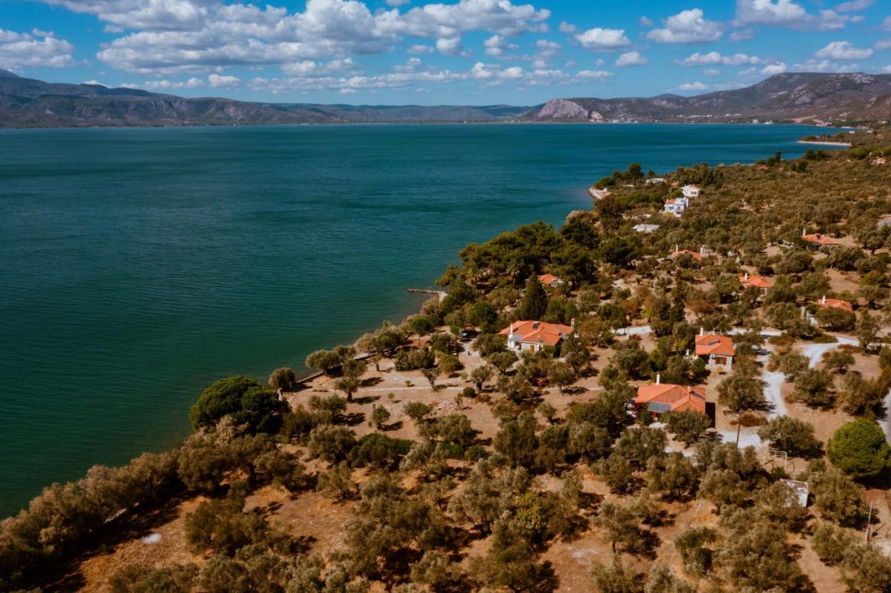 Traditional Architecture Seafront Stone House In 25000Sqm Olive Grove - C Villa Alyfanta Kültér fotó